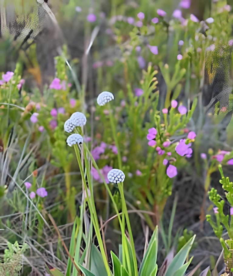Chalé aconchegante em Milho Verde