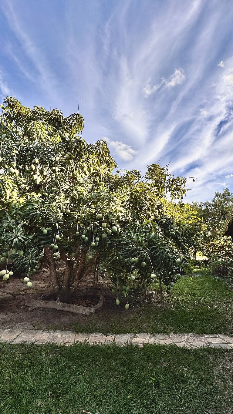 Casa charmosa com chalés, jardim e área gramada