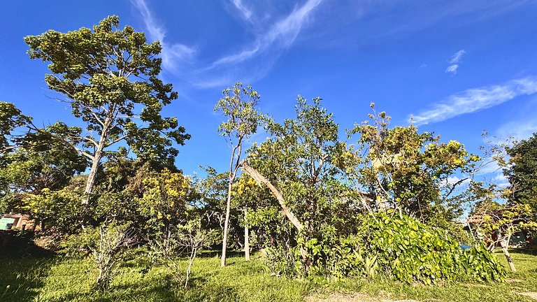 Casa incrível, chalés aconchegantes e lindo jardim