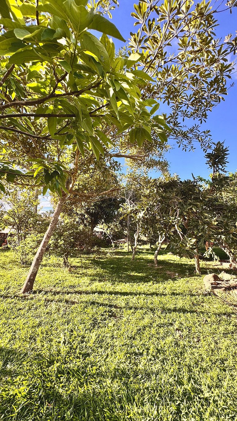 Casa charmosa com chalés, jardim e área gramada